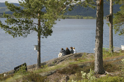Ved Hurdalssjøen